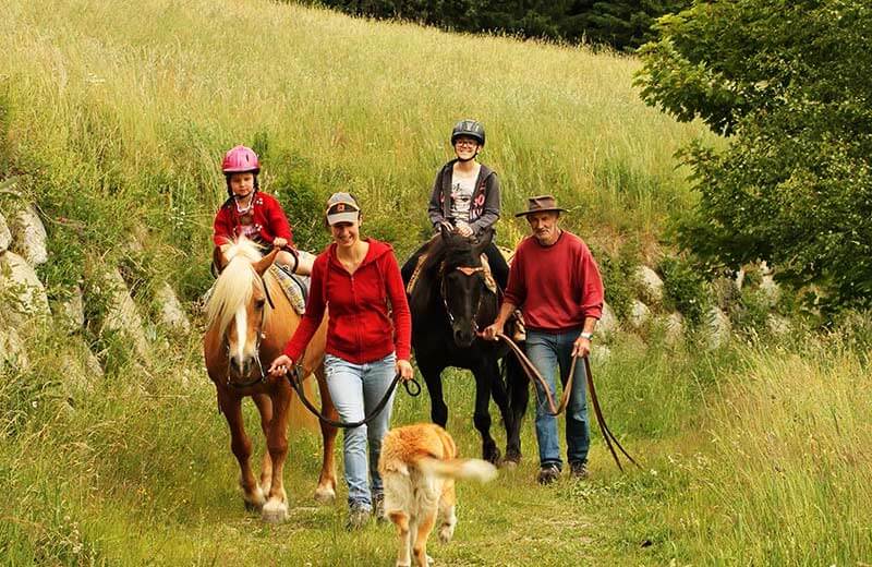 Maneggio Sonnenhof a Colle