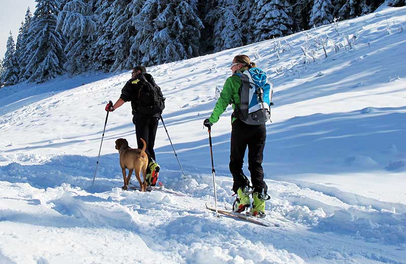 Sci alpinismo alla malga Uwaldalm e allo Spielbühel